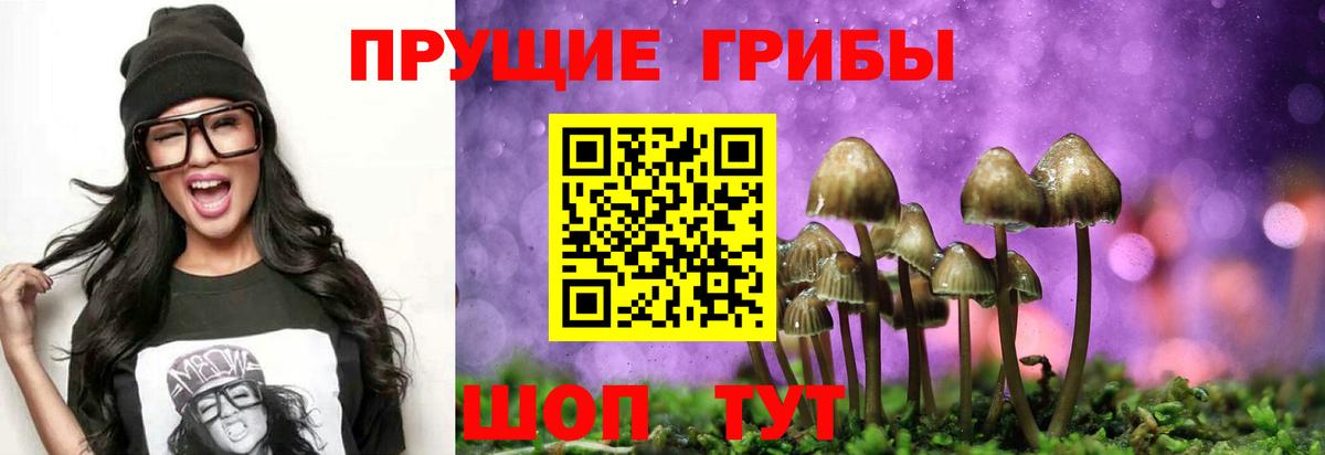 Псилоцибиновые грибы мухоморы Зеленокумск